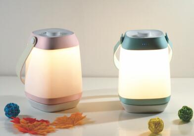 ������ĸӤ���